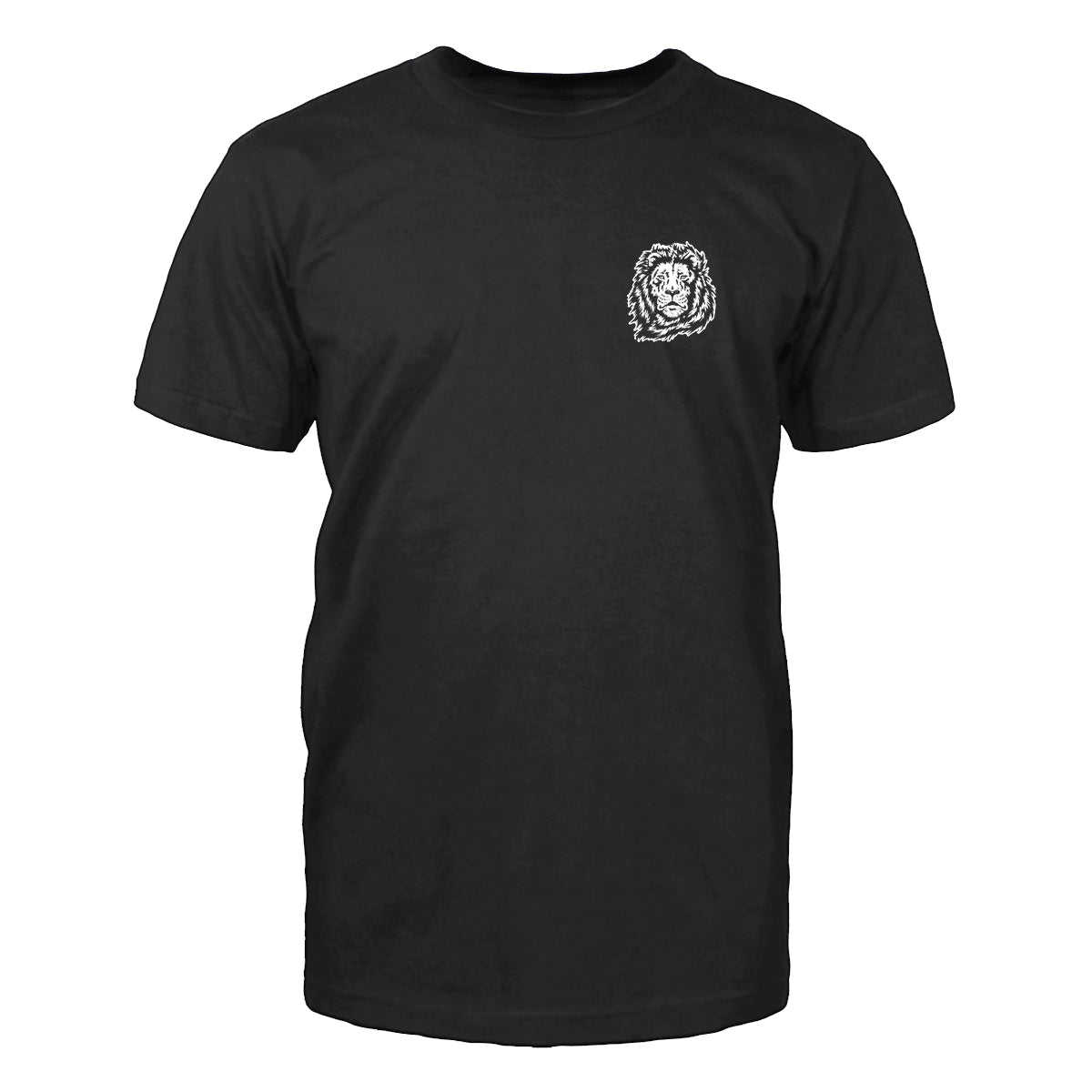 Christian Warrior T-Shirt