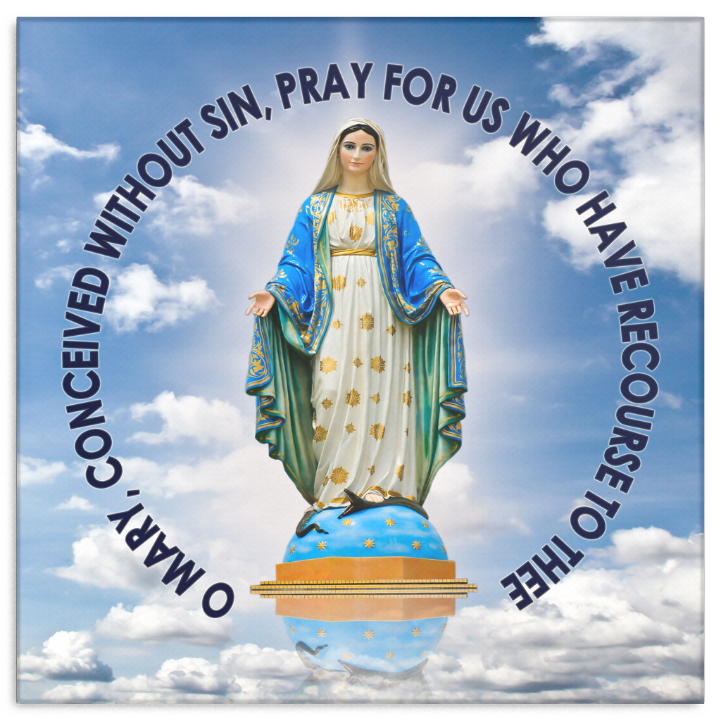 "PRAY FOR US" MARY PREMIUM CANVAS catholic wall art